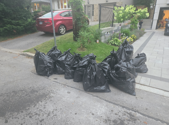DIY vs. Professional Residential Junk Removal Services